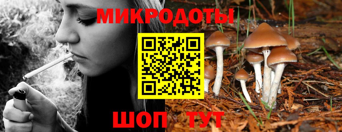Галлюциногенные грибы Cubensis Лиски